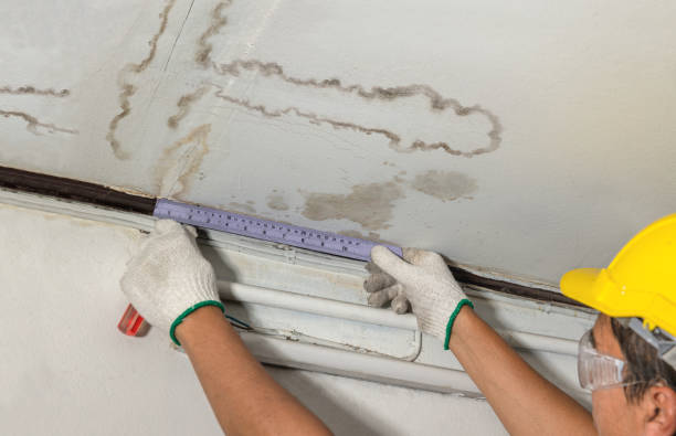 Affordable Ceiling Water Damage Repair solutions in Davenport, CA
